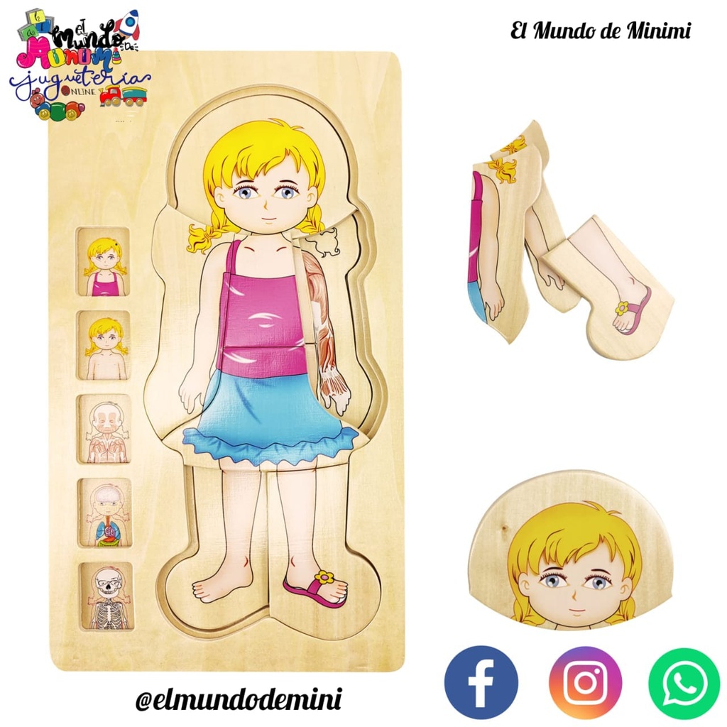 Cuerpo Humano Niña Didáctico 