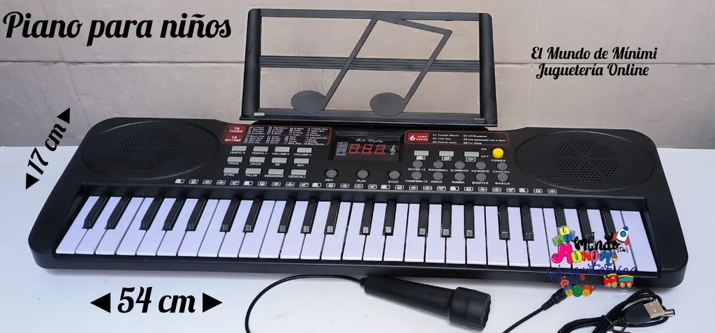 Piano  Electronic Keyboard  49 Keys
