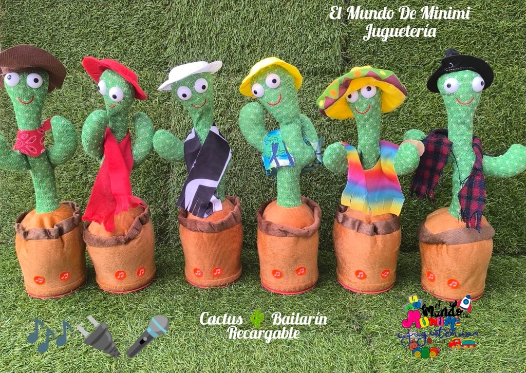 Cactus Bailarín 