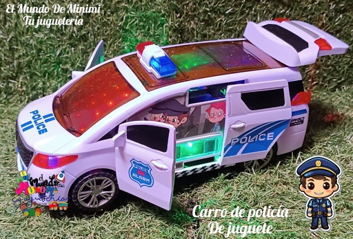 Carro de Policia 