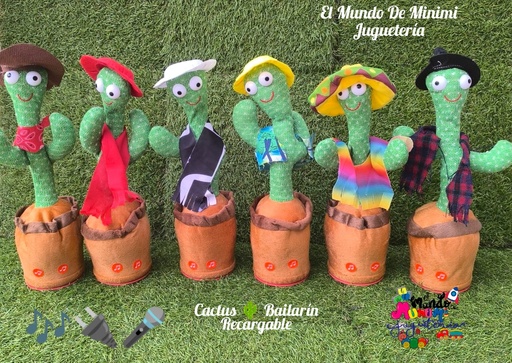 Cactus Bailarín 